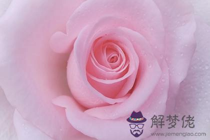2022虎年今年8月17日出生的好不好 今日出生最好的名字