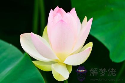 2023年1月2日出生的寶寶五行取名 屬虎名字精選