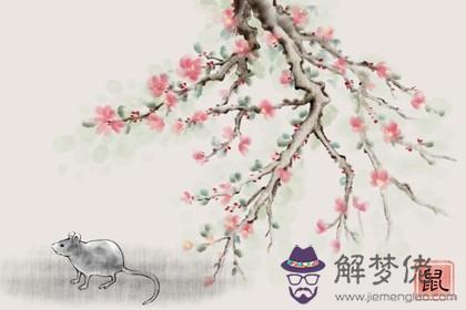 2022年10月1號誕生的寶寶好不好 此日出生為人處事敦厚善良