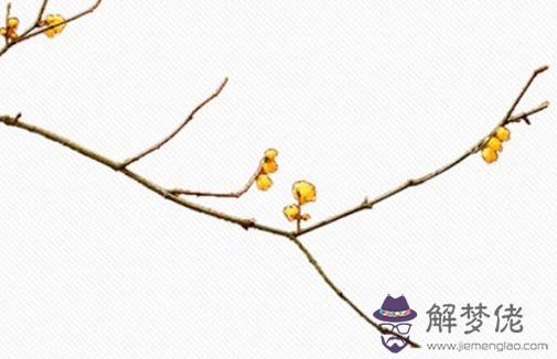 2023年平安夜適合搬家嗎 平安夜搬家好不好呢