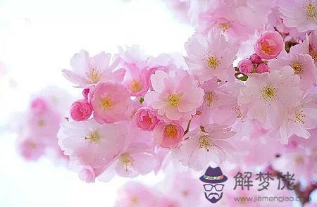 1971年有沒有閏月,1971年是閏幾月份？(圖文)