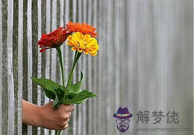 2006年有沒有閏月？這個月發生了什麼大事？(圖文)