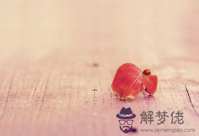 2025年閏六月出生的生肖蛇命理解析！(圖文)