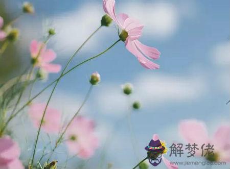 2012年6月出生生肖龍會是什麼命,屬龍的人哪一天出生命好？(圖文)