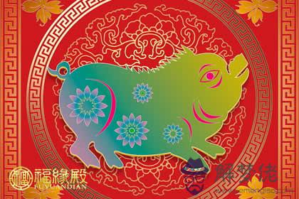 屬豬出生時辰的命運(圖文)