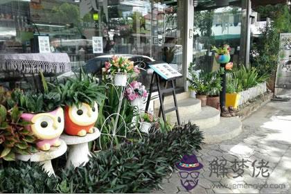 店鋪的綠化這麼做保你賺大錢(圖文)
