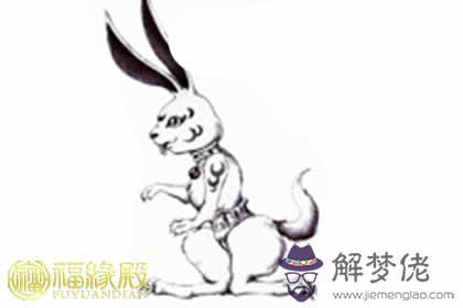 屬兔男人的性格特點分析和優缺點(圖文)
