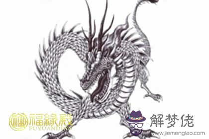 屬龍男人的性格特點分析和優缺點(圖文)