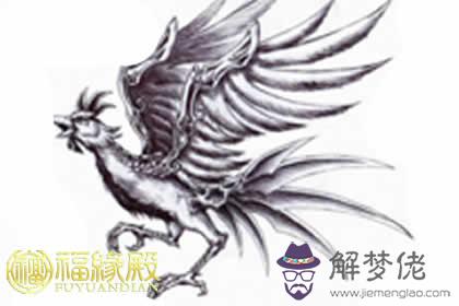 屬雞男人的性格特點分析和優缺點(圖文)