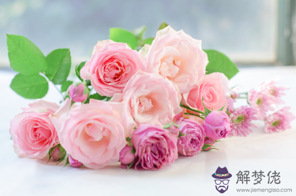 2019七夕玫瑰花真實圖片 七夕玫瑰花束圖片大全2019唯美(圖文)