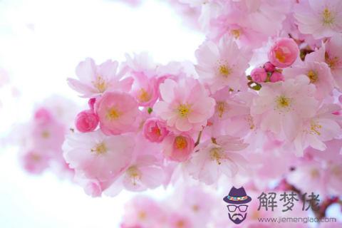 1993年9月出生的雞命運好不好,屬雞的三和屬相是什麼？(圖文)
