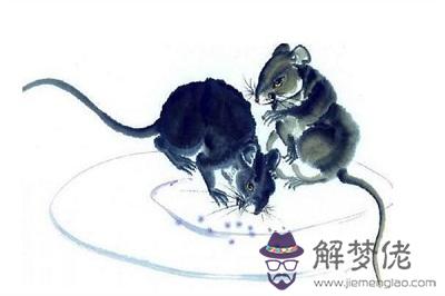 11月出生的屬鼠名人偉人有哪些？(圖文)