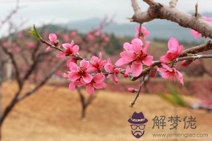 五行缺金的人怎麼樣可以讓桃花運變好(圖文)