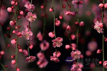 五行缺水的人怎麼樣可以讓桃花運變好(圖文)