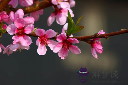 五行缺火的人怎麼樣可以讓桃花運變好(圖文)