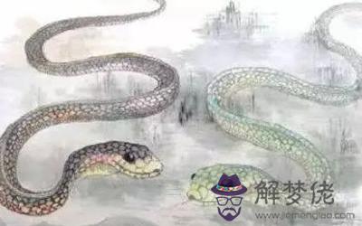 屬蛇卯時出生的人運勢好不好？(圖文)
