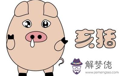 2043年是什麼命_2043年屬相查詢表(圖文)