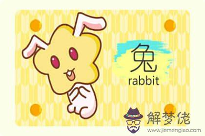 2023年屬兔最佳結婚年齡 26歲結婚好(圖文)