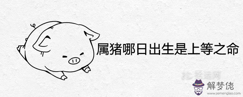 屬豬的生辰八字怎麼查