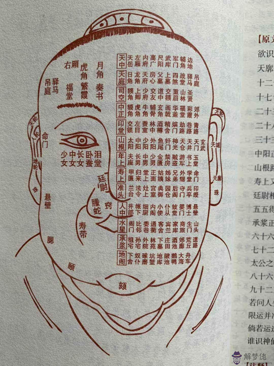 人的八字是什麼怎麼批的的簡單介紹