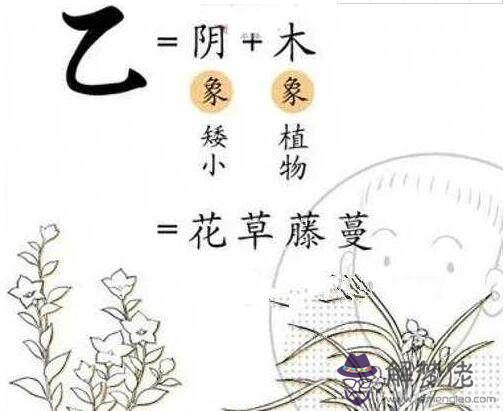 八字乙木怎麼看