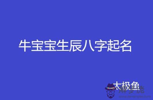 包含生辰八字術語查詢大全的詞條