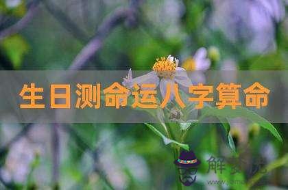 八字沒有生日主的