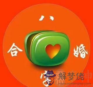 如何查看八字的兩數