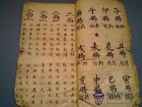 己亥丙寅辛巳乙未的八字屬性