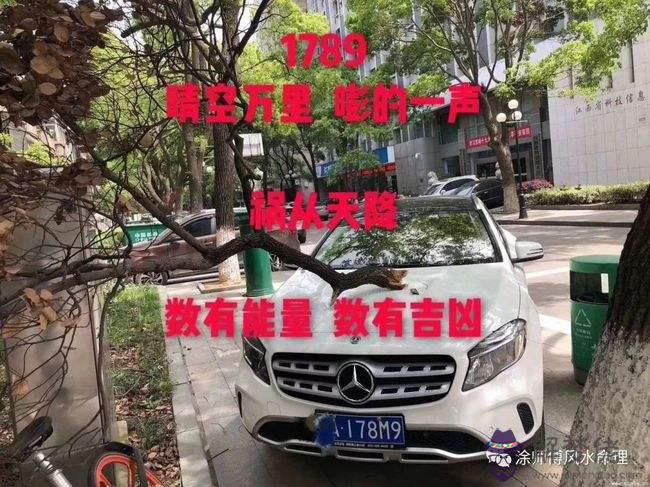 生辰八字查車牌號