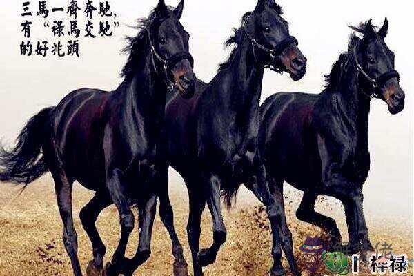 八字驛馬查詢.