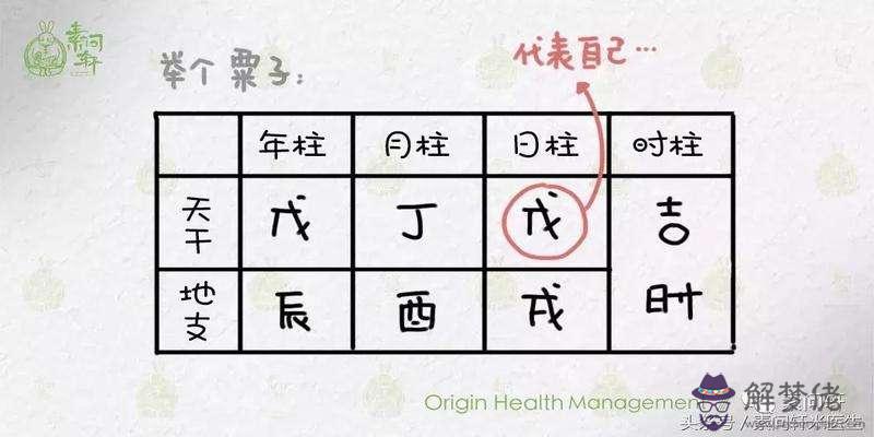 八字看讀書成績如何