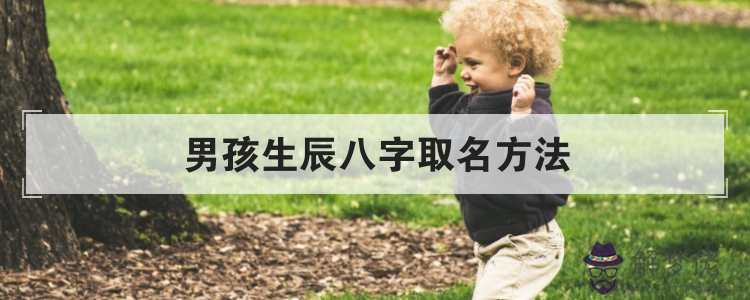 包含生辰八字查詢取名分的詞條