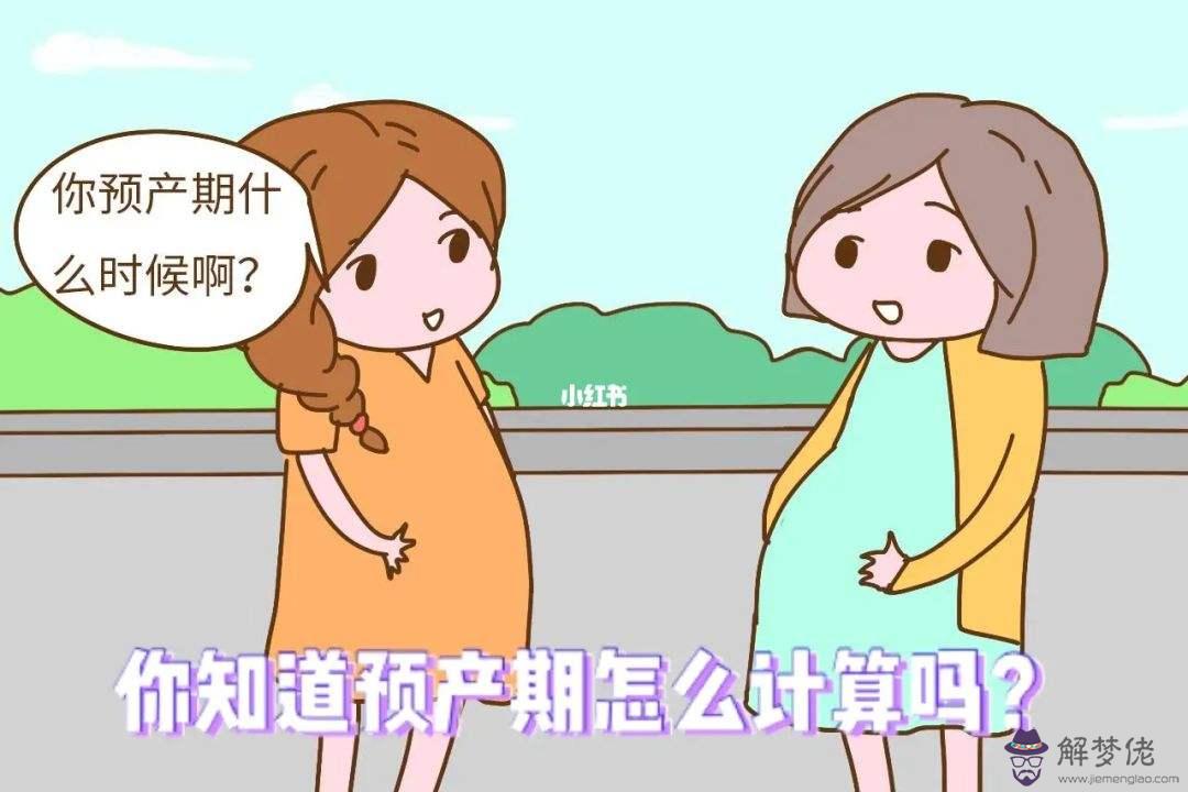 根據八字預產期查詢