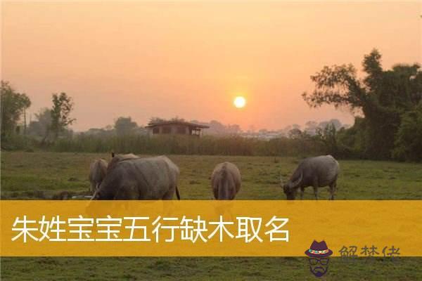 查看五行八字取名