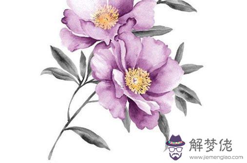 19742024屬虎人全年運勢 19742020屬虎人全年運勢