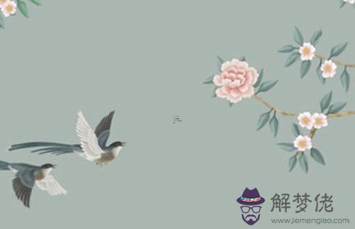 屬龍2024年生孩子好嗎 屬龍2024年生孩子好嗎女