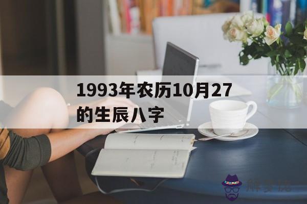 關于1993年農歷10月27的生辰八字的信息