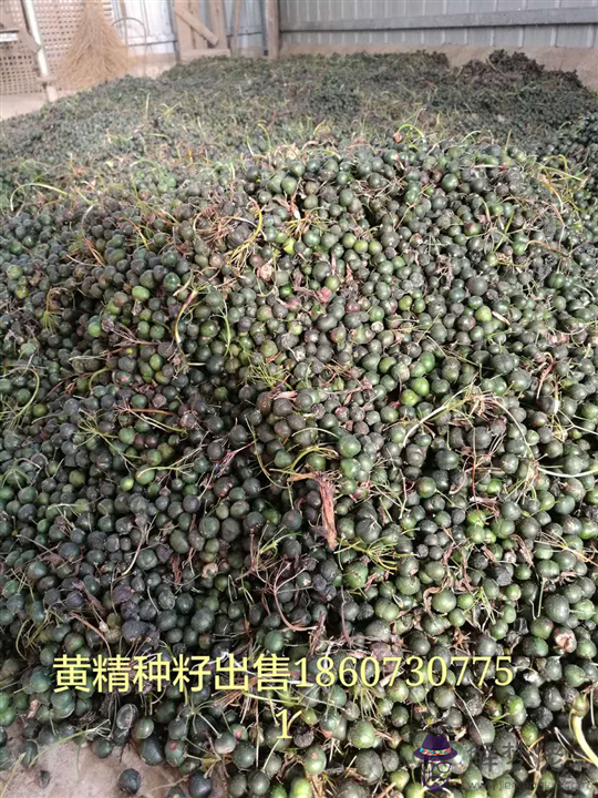 關于吳軍華--岳陽市八字門亞華蔬菜批發市場的信息