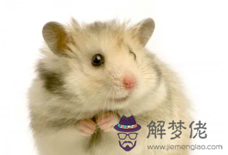 截屏2022-03-11 下午12.41.57.png