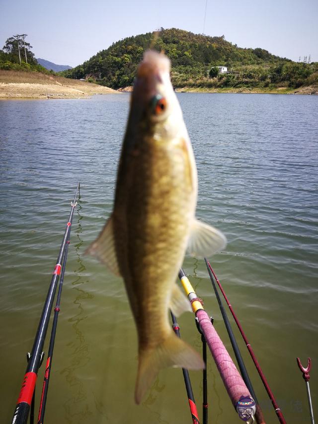 八字環釣魚人帆布