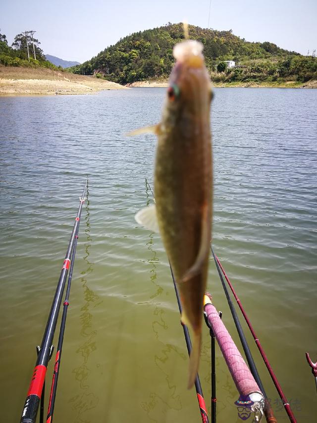 八字環釣魚人帆布