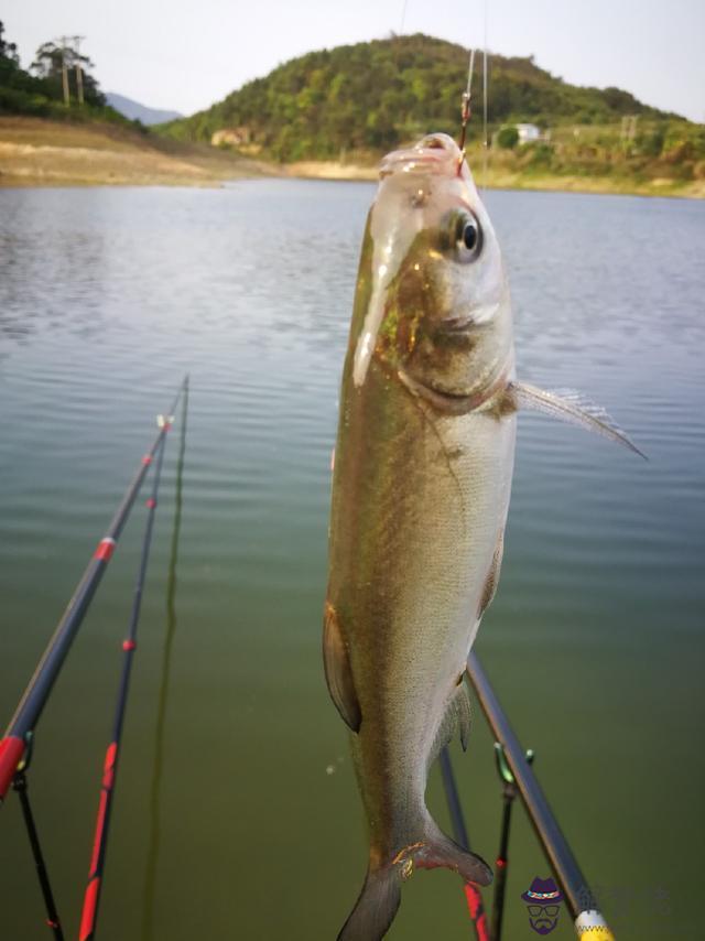 八字環釣魚人帆布