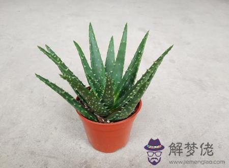 1990路旁土命缺什麼