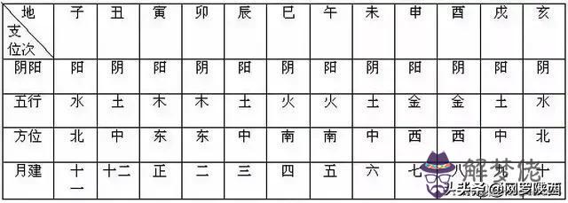 八字尾的生肖