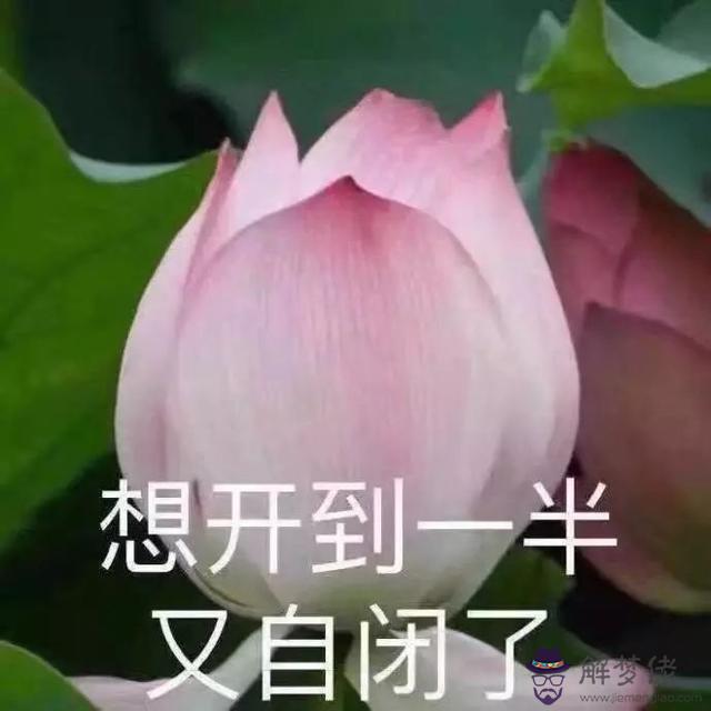 八字占卜gif圖片