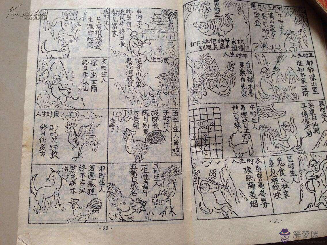 免費八字算命網最新章節的簡單介紹
