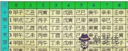 八字的藏干是什麼生肖