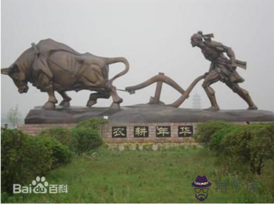 什麼是八字的透干和通根
