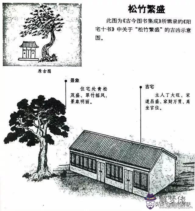 算命先生說不守正房什麼意思